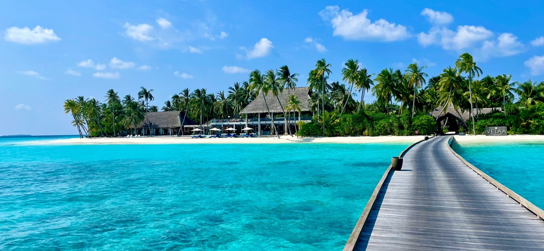 pedro-bariak-lVRolxDY5q0-unsplash (1)