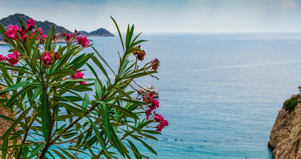 Lara Barut Collection: Ultra All-Inclusive Luxury