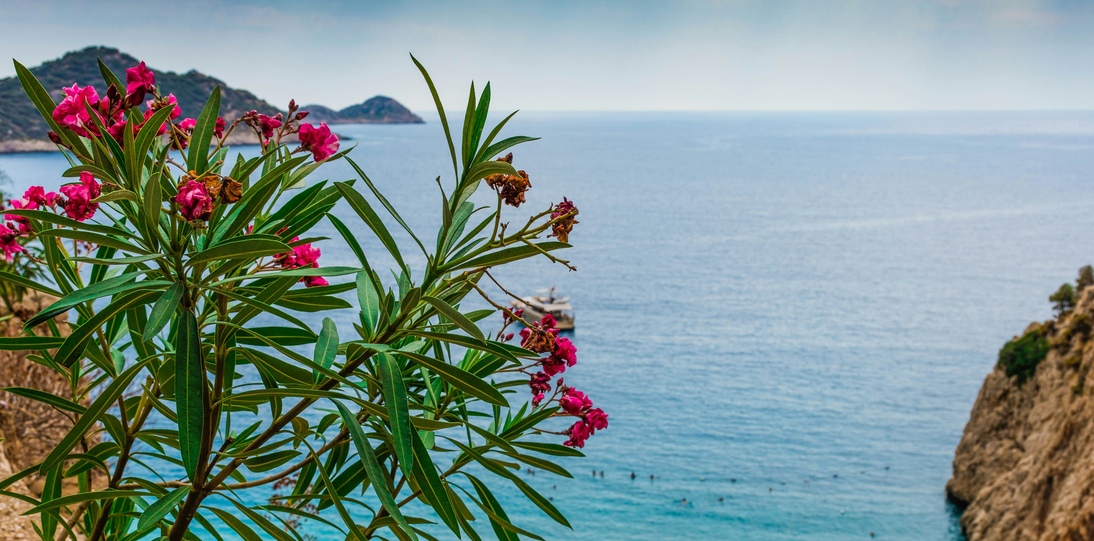 desert-morocco-adventure-O80WOBiGcCk-unsplash (1)