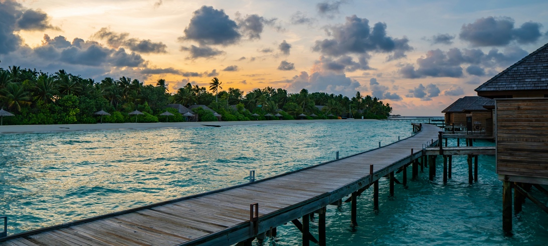 shai-pal-2z41T7DXDkU-unsplash (1)